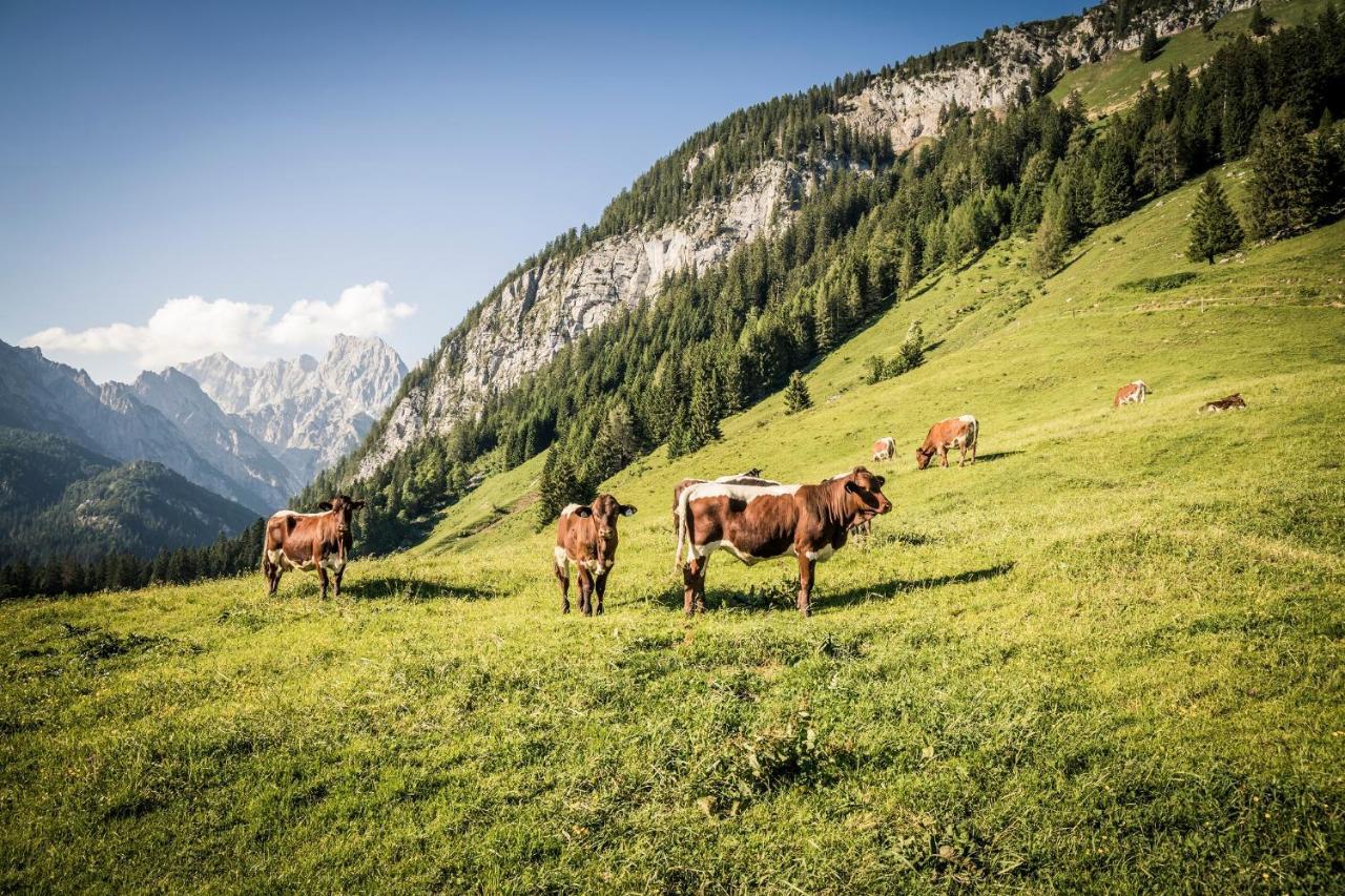 Exklusive Fewo Drachleck Mit 3 Schlafzimmern & Panoramabergblick In Bester Lage Schönau am Königssee エクステリア 写真
